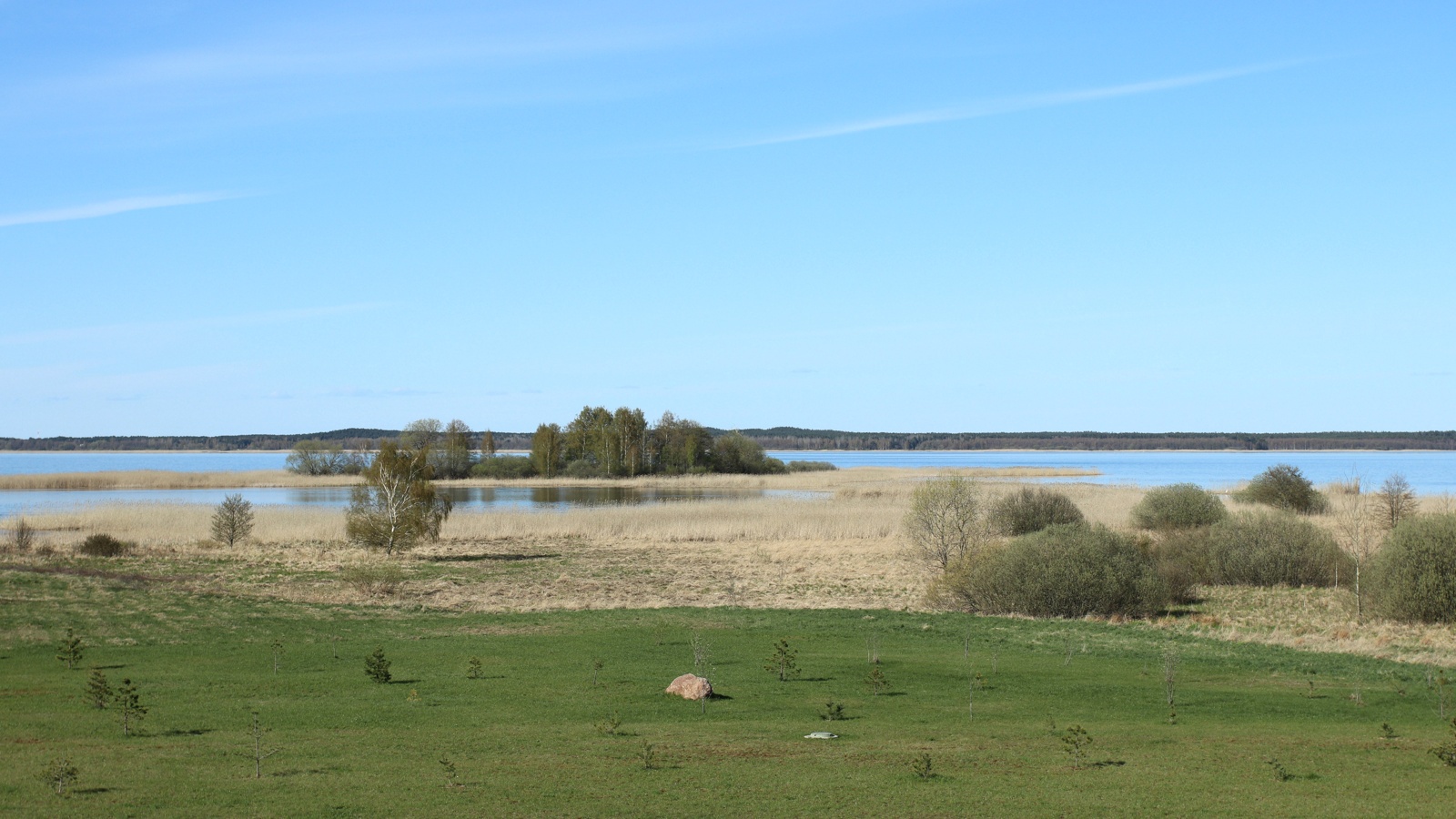 Окрестности Самолвы, image of landscape/habitat.
