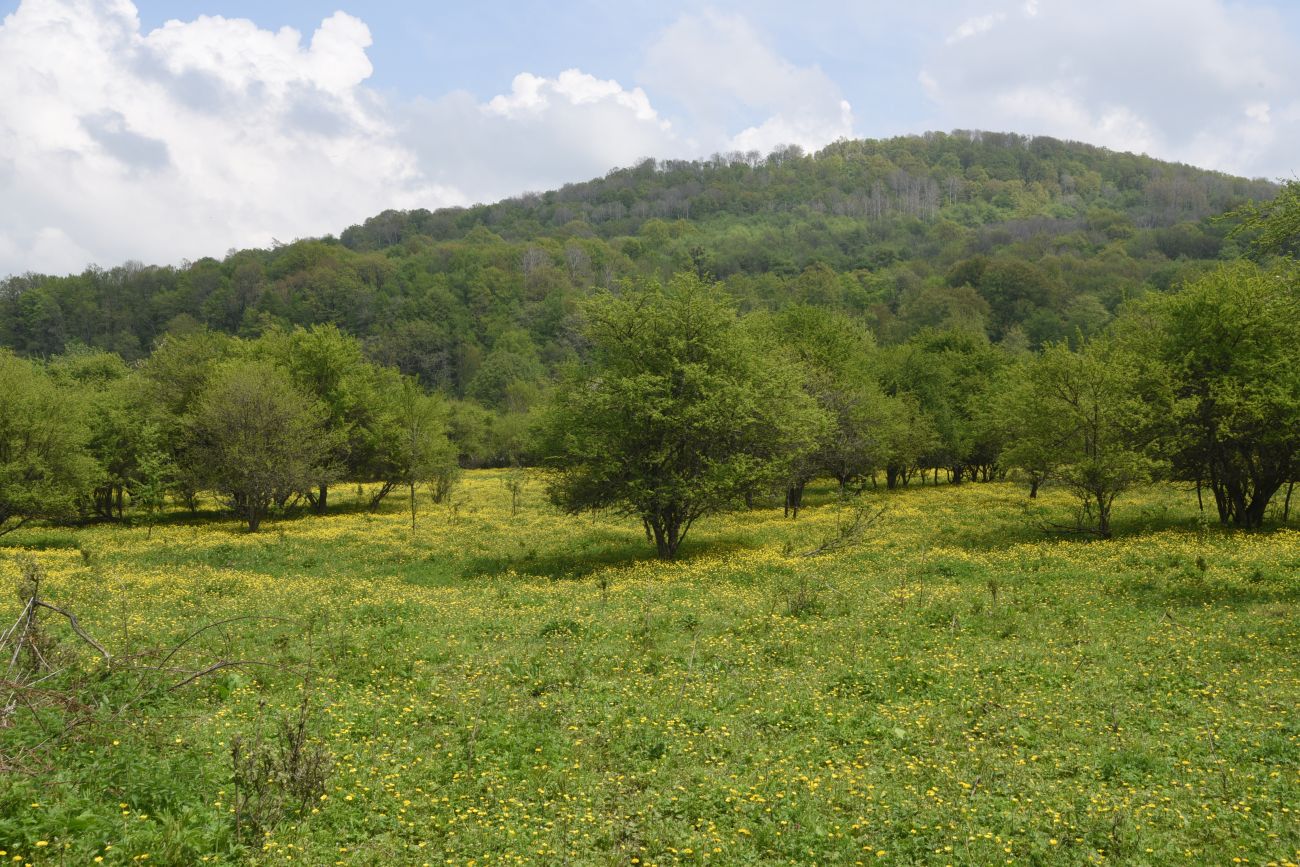 Окрестности Монашеского Бугра, image of landscape/habitat.