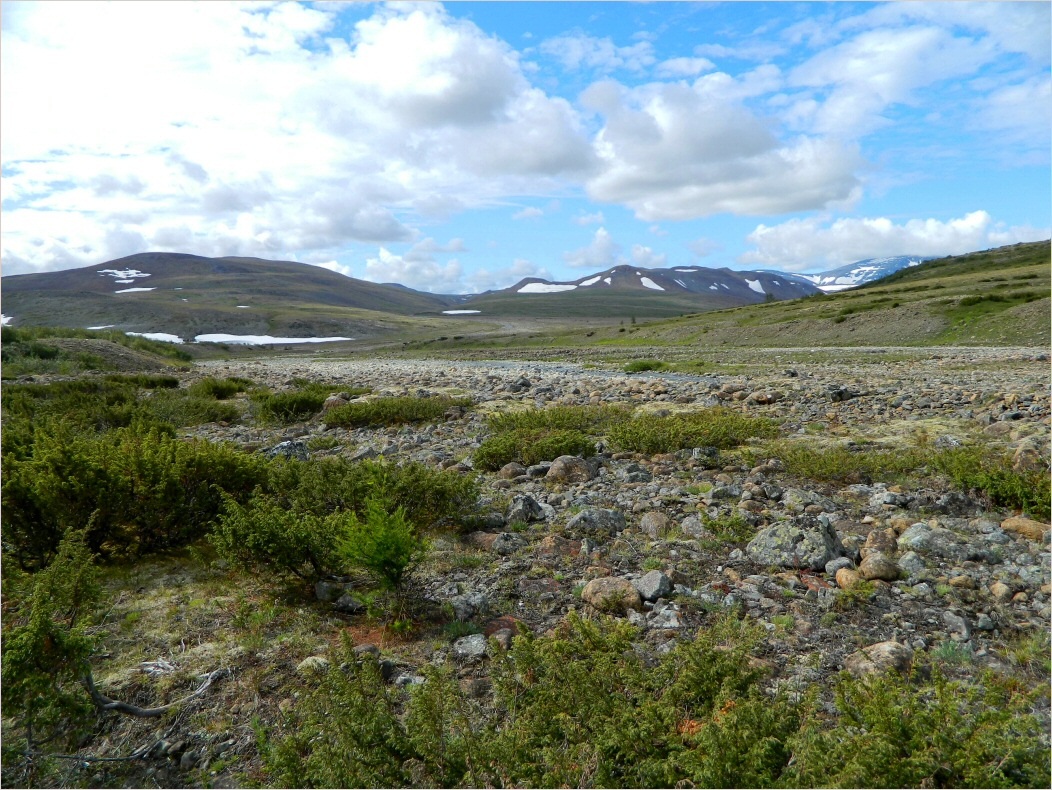 Кершор, image of landscape/habitat.