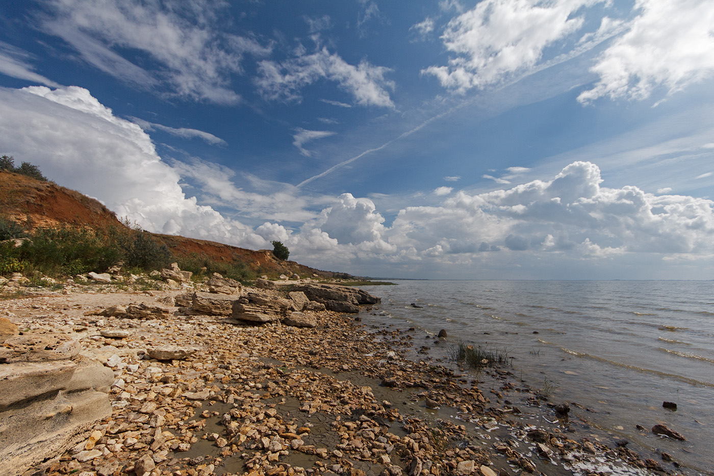 Мержаново, image of landscape/habitat.