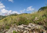 Image of landscape