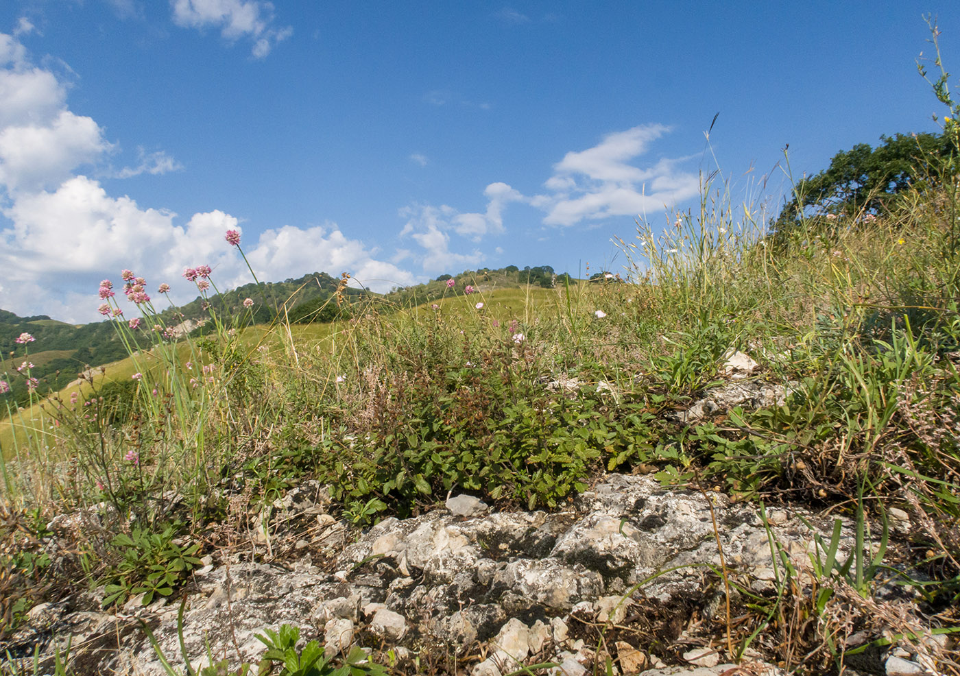 Герпегем, image of landscape/habitat.