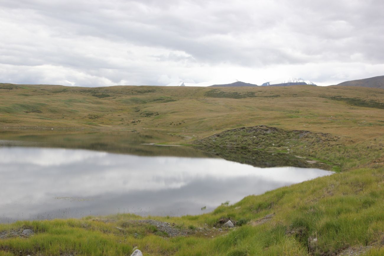 Окрестности реки Музды-Булак, image of landscape/habitat.