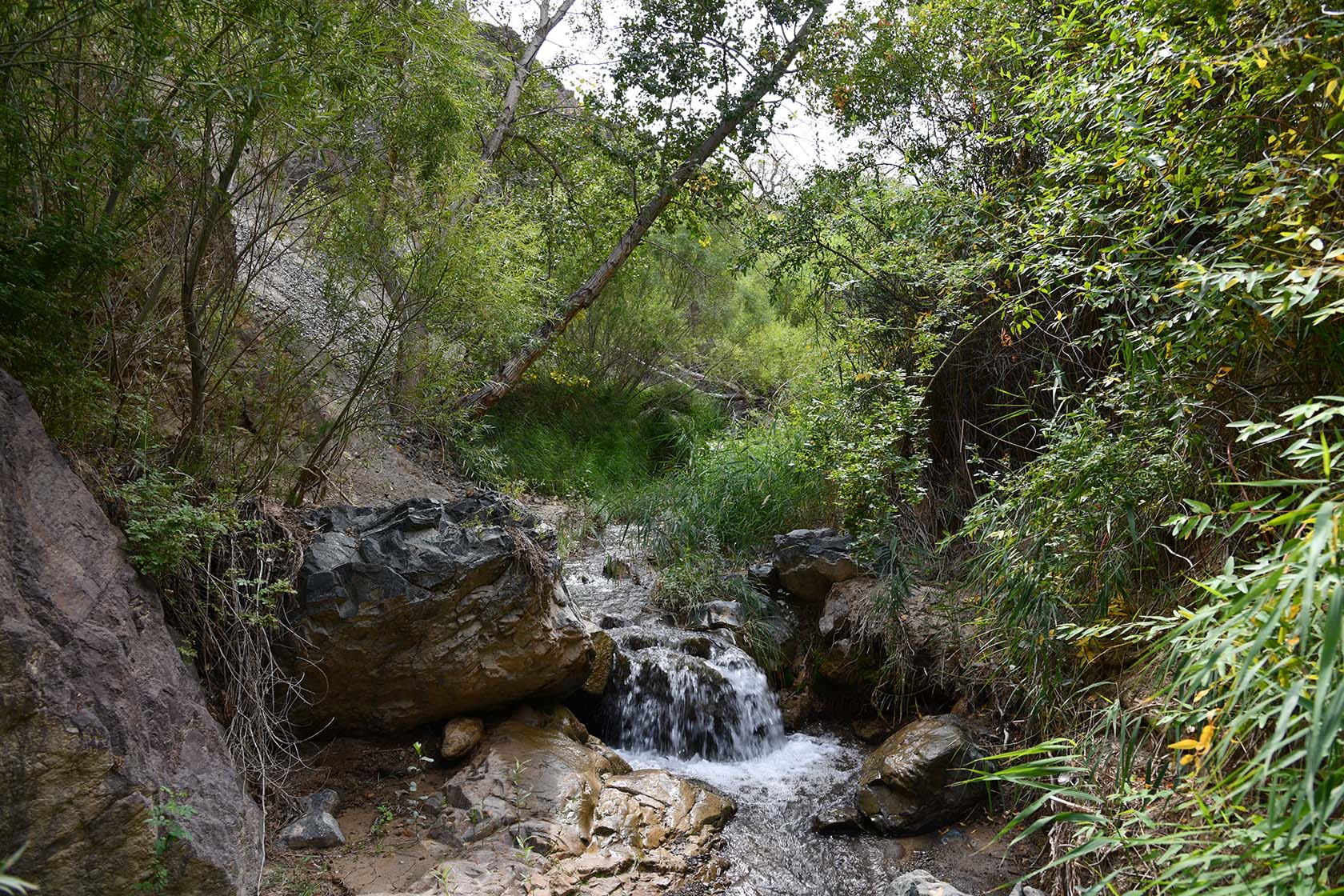 Чарын, image of landscape/habitat.