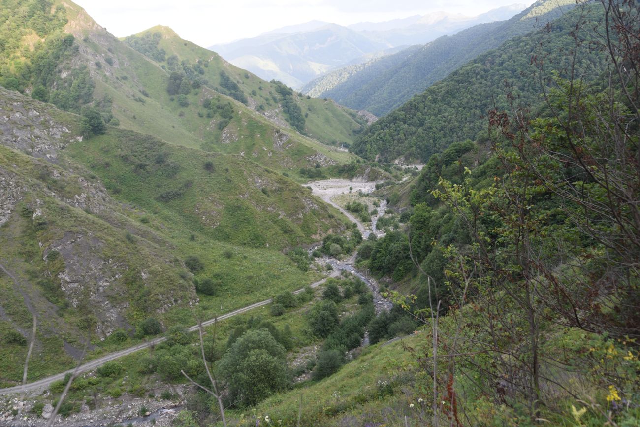 Окрестности водопада Цеси, image of landscape/habitat.