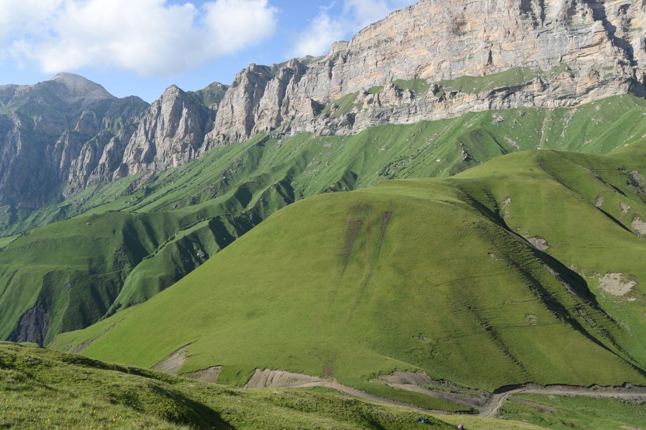 Цумандинский перевал, image of landscape/habitat.
