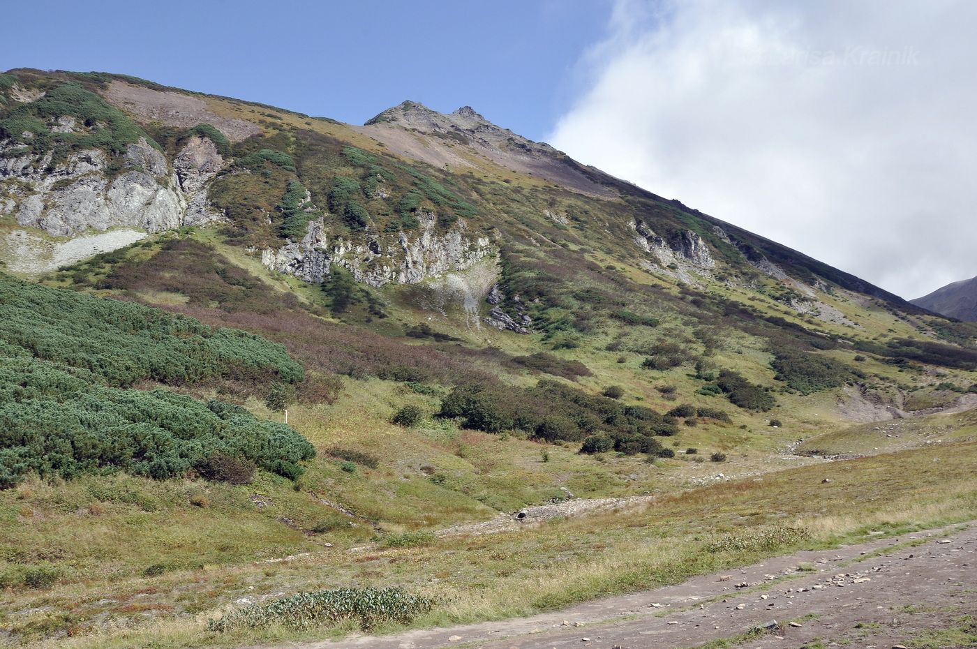 Гора Летняя Поперечная, image of landscape/habitat.