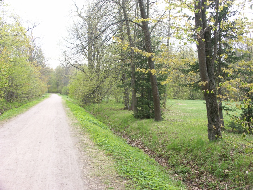 Парк "Сергиевка", image of landscape/habitat.