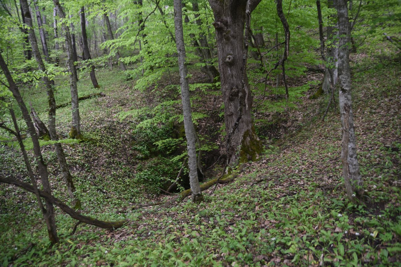 Окрестности пещеры Порошковая, image of landscape/habitat.