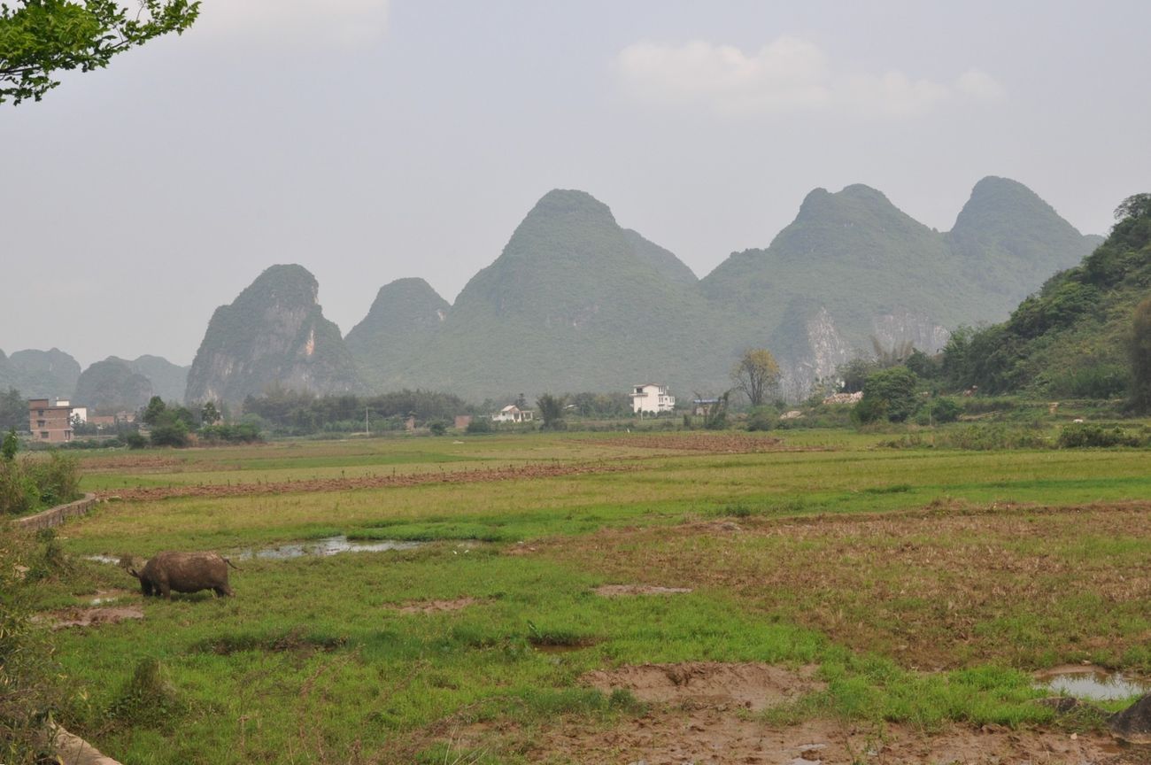 Деревня Лиогонг, image of landscape/habitat.