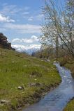 Image of landscape