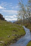 Окрестности села Коксу, image of landscape/habitat.