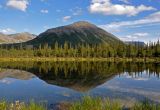 Северный склон горы Куэльпорр, image of landscape/habitat.