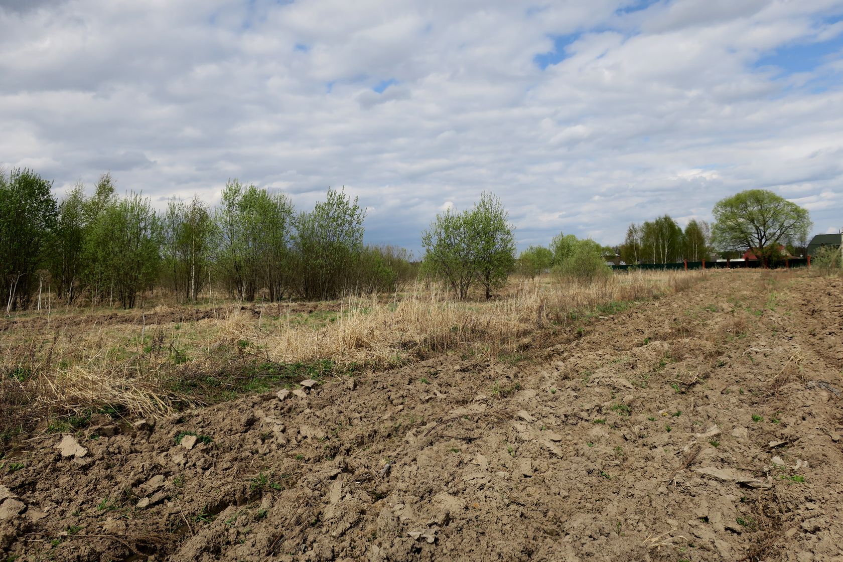 Ярцево, image of landscape/habitat.