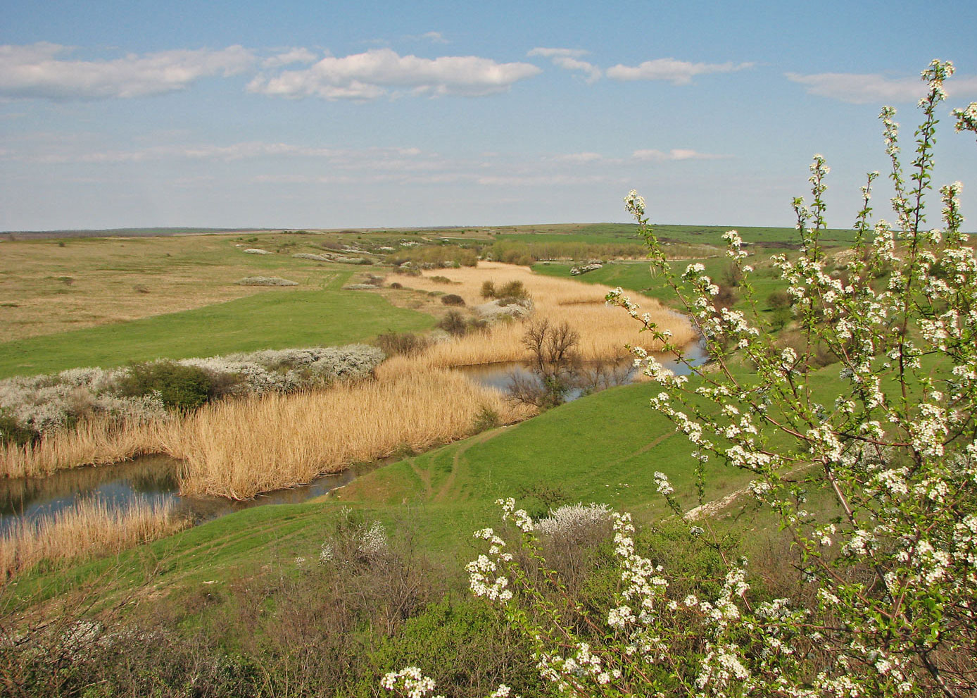 Хомутовская степь, изображение ландшафта.