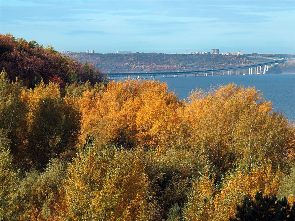 Верхняя Терраса и окрестности, image of landscape/habitat.