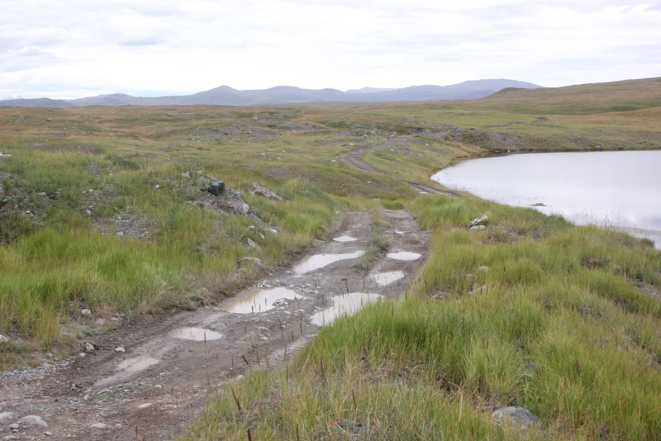 Окрестности реки Музды-Булак, image of landscape/habitat.