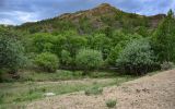 Image of landscape