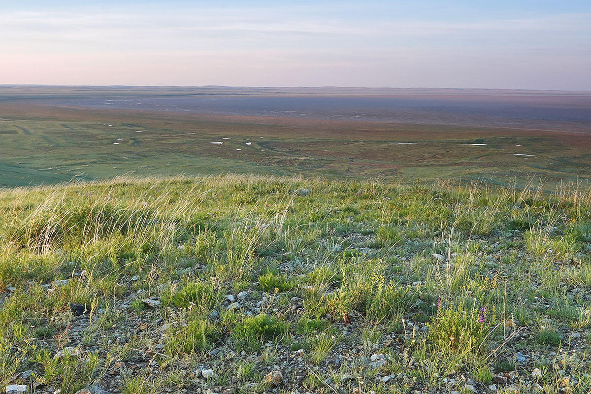 Куку-Хадан, image of landscape/habitat.