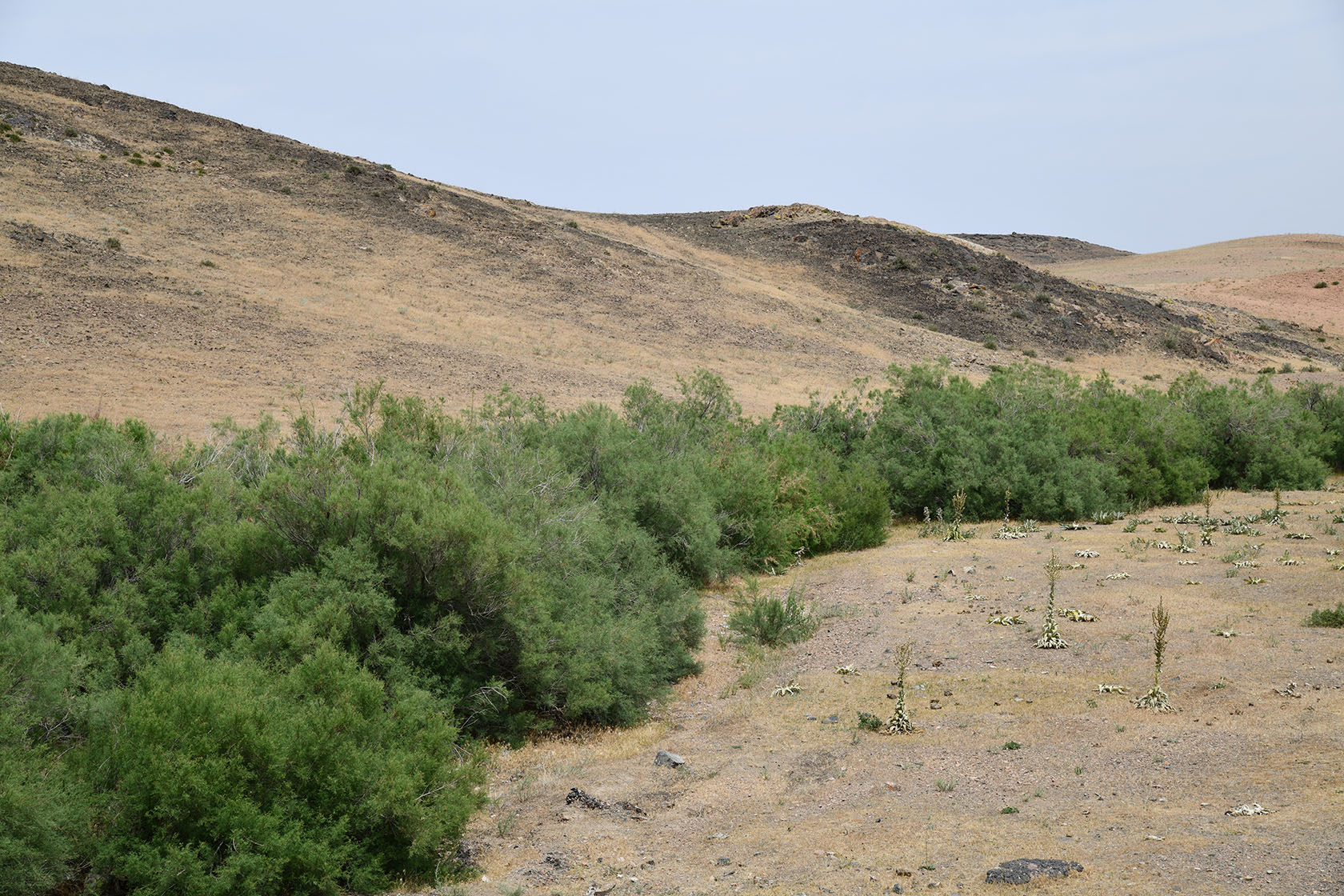 Ак-Чеку, изображение ландшафта.