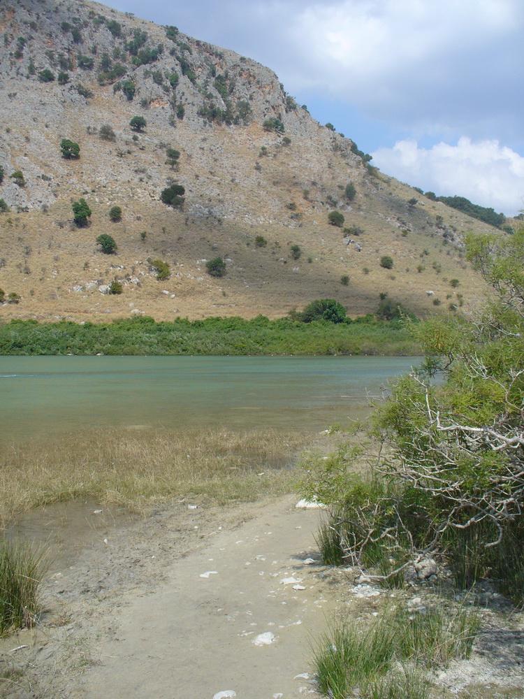 Окрестности Георгиуполиса, image of landscape/habitat.