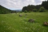 Цинубанская баня, image of landscape/habitat.