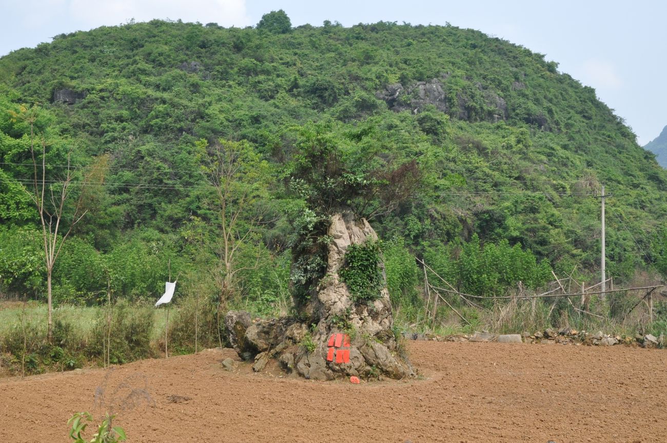 Деревня Лиогонг, image of landscape/habitat.