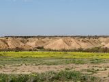 Негев, image of landscape/habitat.