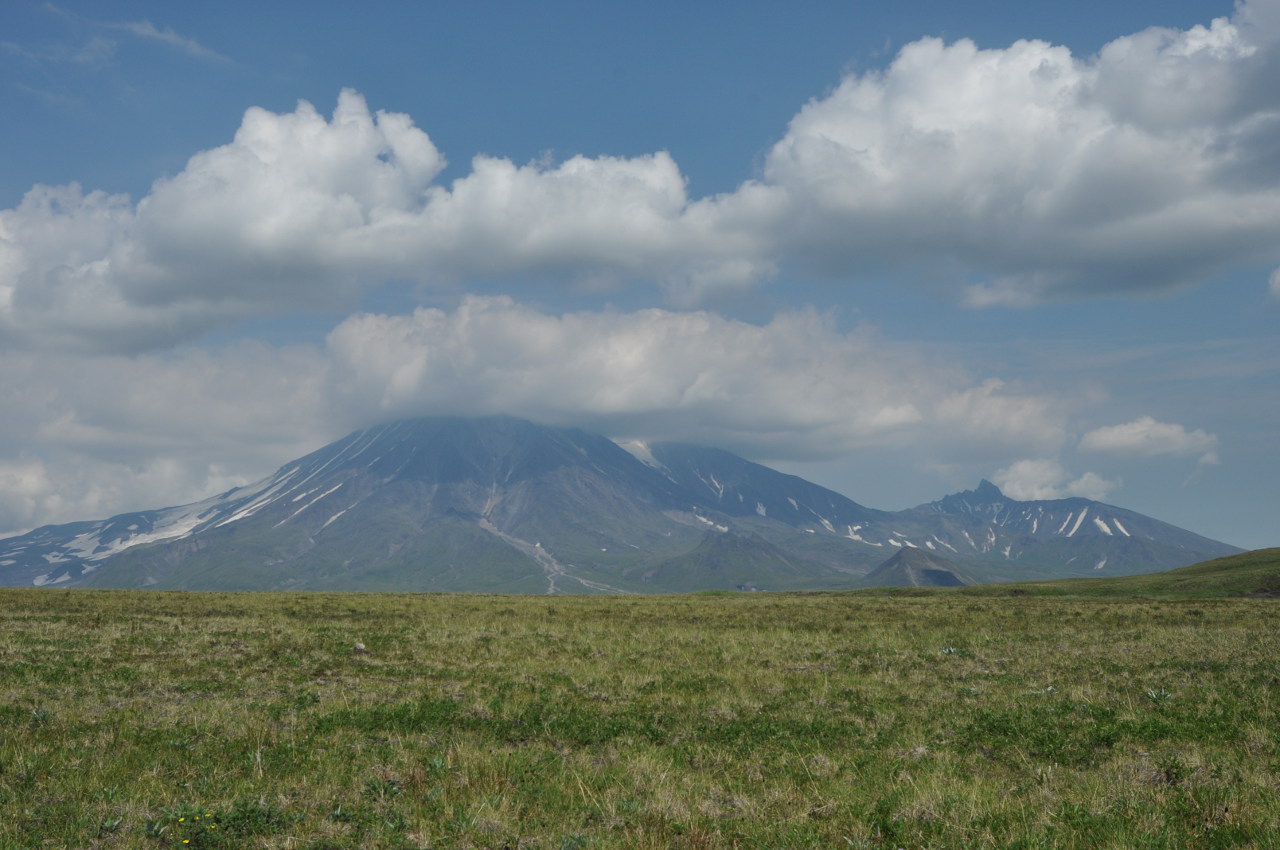 Окрестности перевала Толуд, image of landscape/habitat.