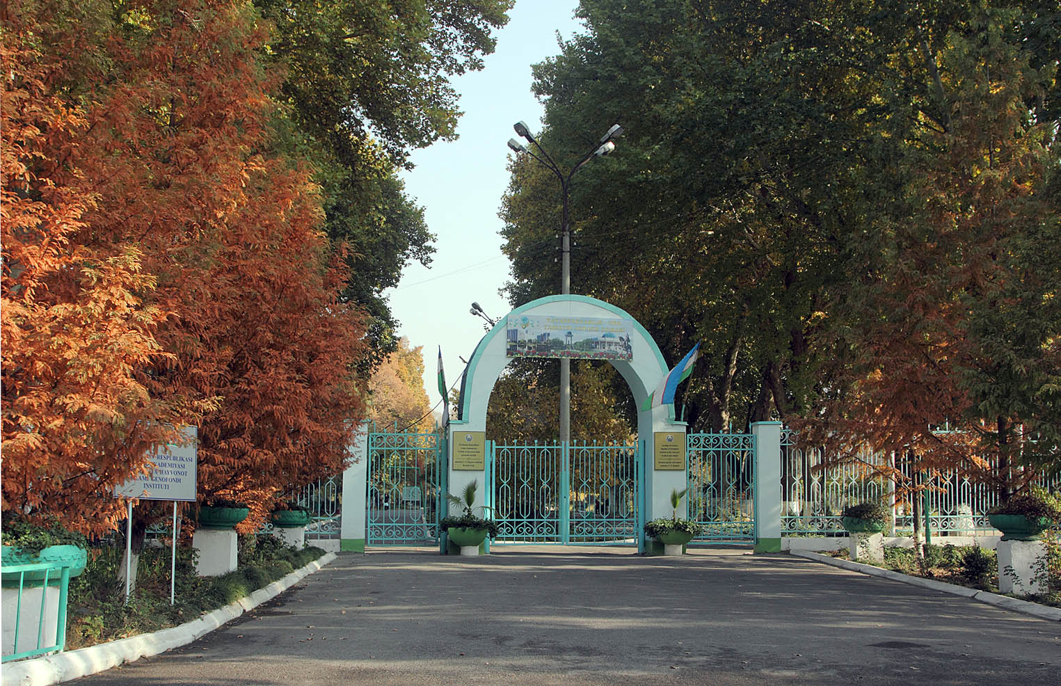 Ботанический сад им.Н.Ф.Русанова, image of landscape/habitat.
