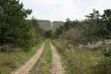 Image of landscape