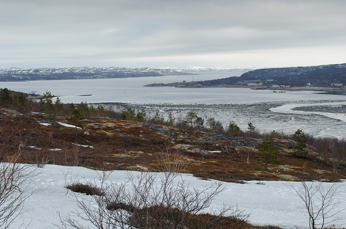 Губа Грязная, image of landscape/habitat.