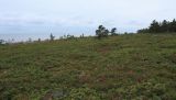 Image of landscape