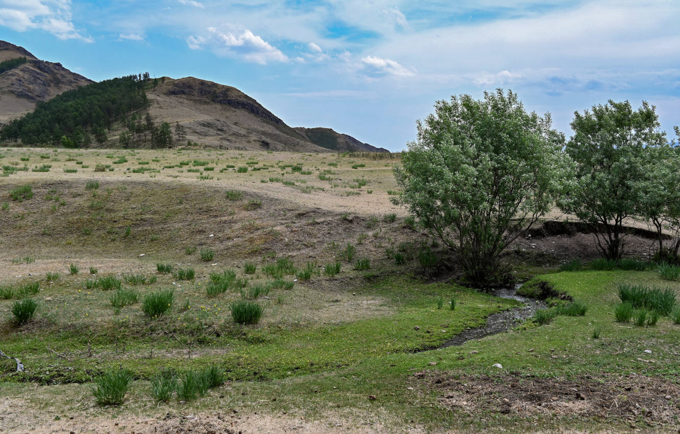 Долина реки Аскиз, image of landscape/habitat.