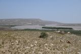 Image of landscape