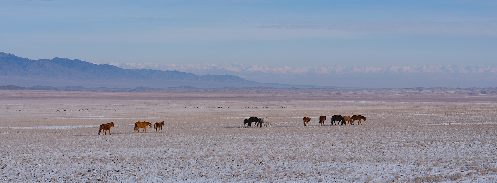 Сюгатинская долина, image of landscape/habitat.