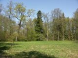 Image of landscape