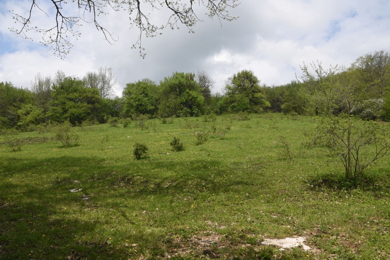 Окрестности пещеры Порошковая, image of landscape/habitat.