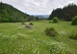 Цинубанская баня, image of landscape/habitat.