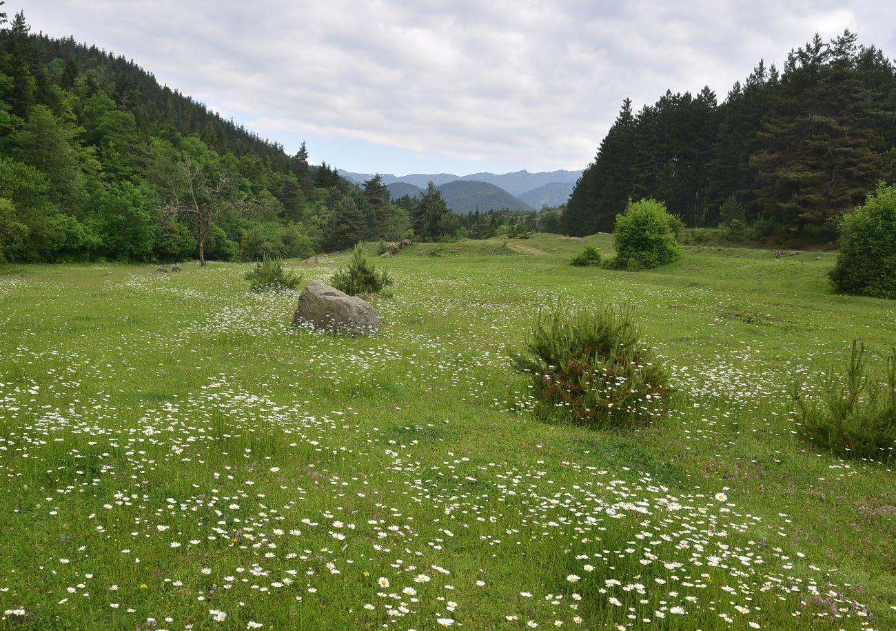 Цинубанская баня, image of landscape/habitat.