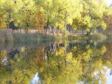 Петропавловский парк, изображение ландшафта.