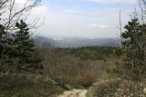 Image of landscape