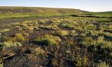 Image of landscape