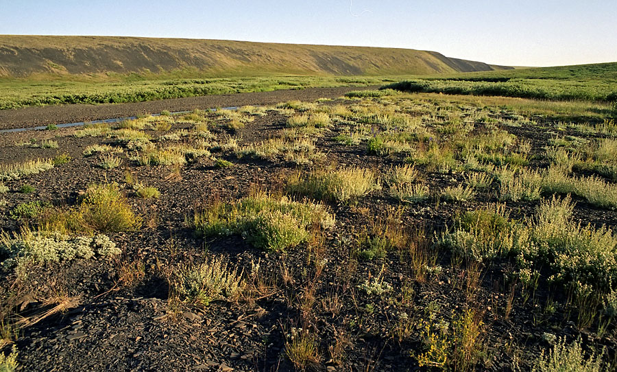 Тьэюкууль, image of landscape/habitat.