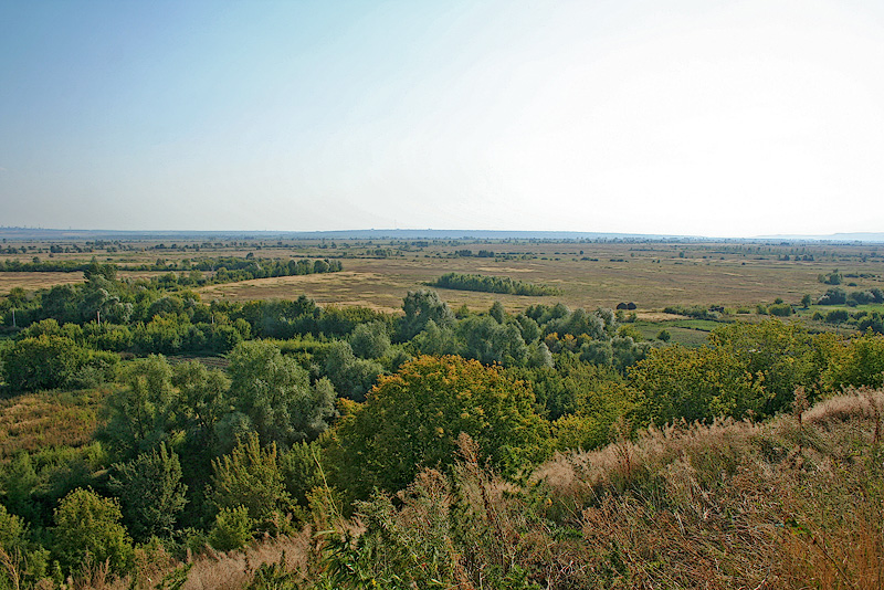 Танаевские луга, image of landscape/habitat.