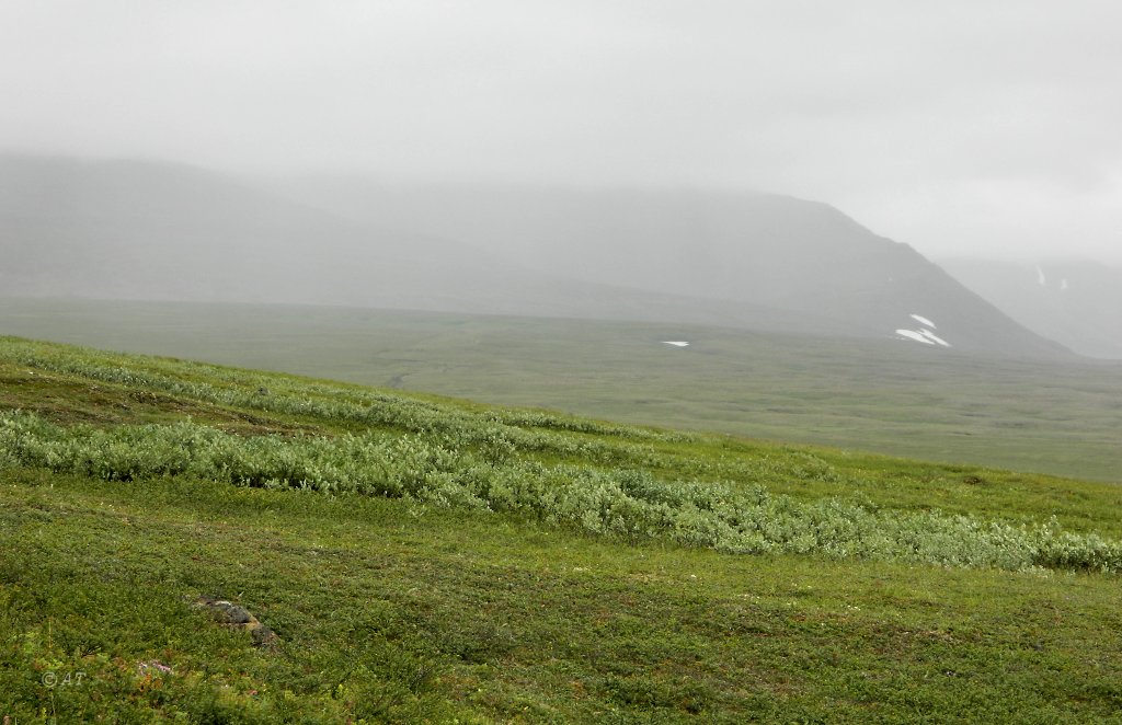 Большая Хойлаю, image of landscape/habitat.