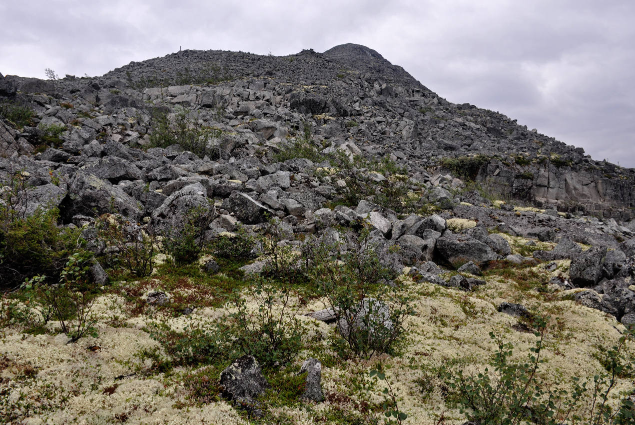 Северный склон горы Куэльпорр, image of landscape/habitat.