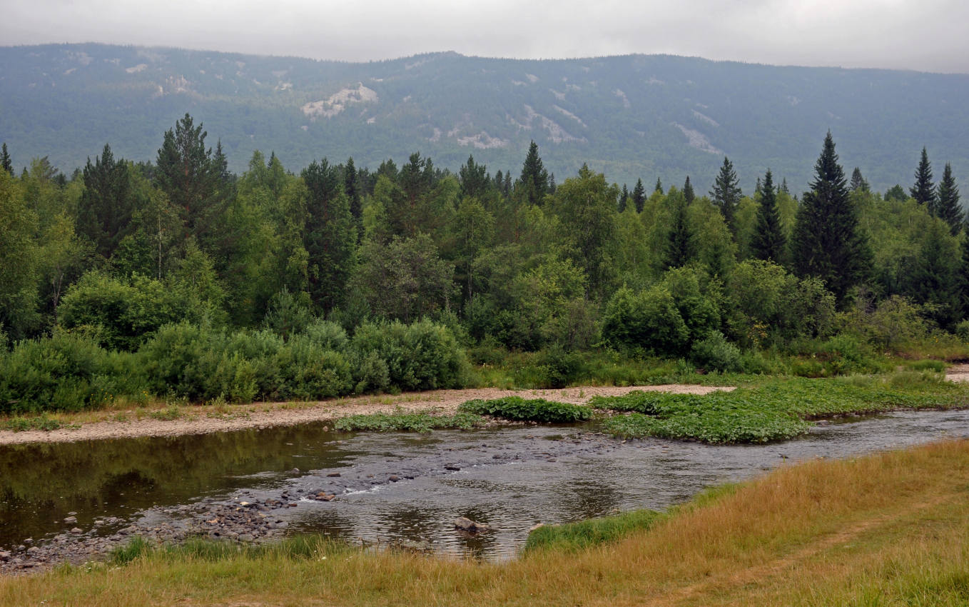 Хребет Зигальга, image of landscape/habitat.