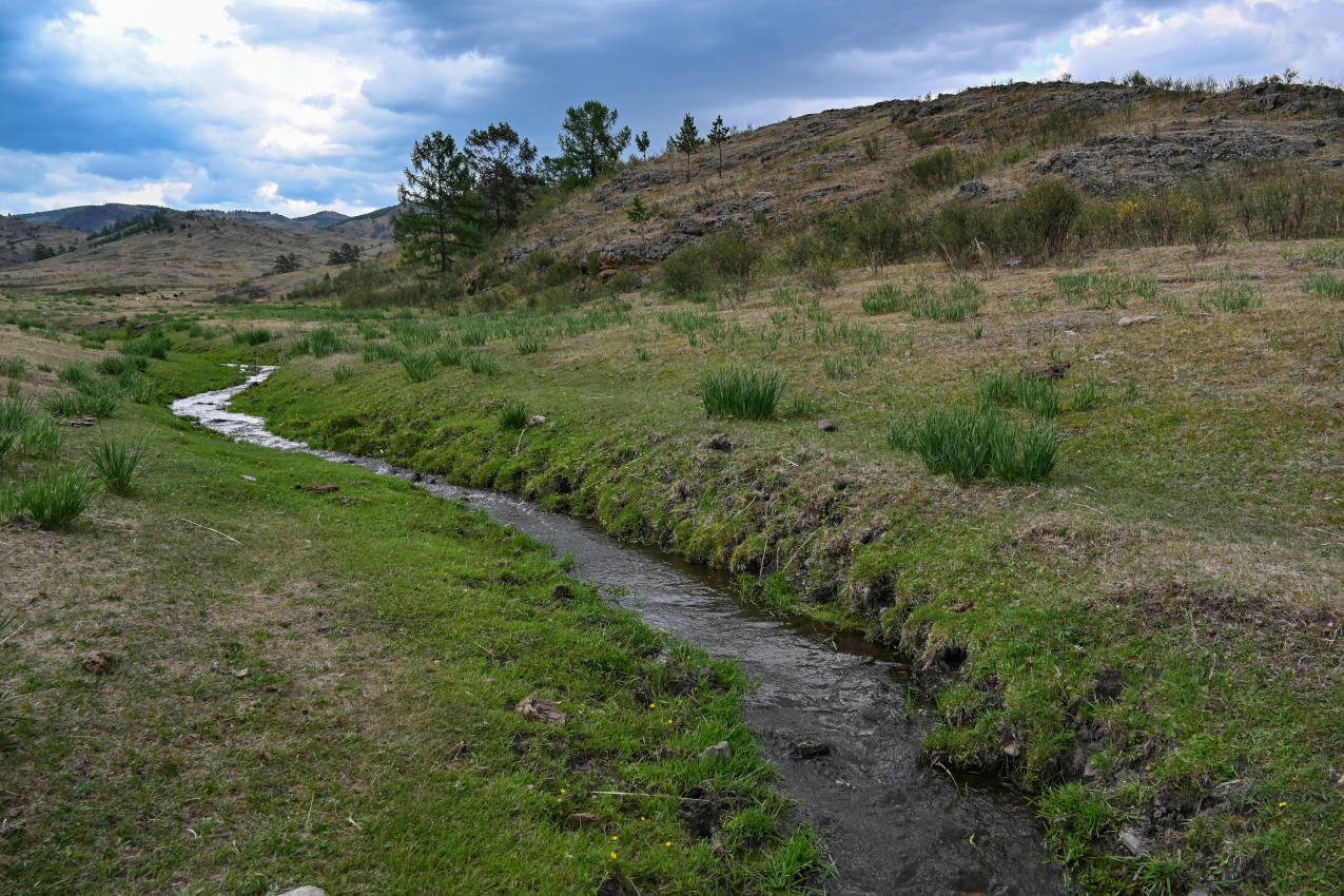 Долина реки Аскиз, image of landscape/habitat.
