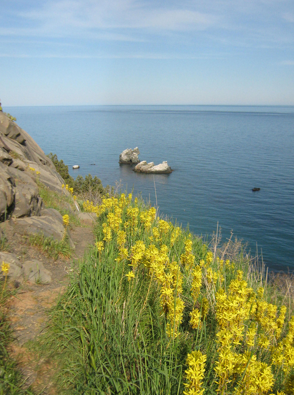 Ламбата, image of landscape/habitat.